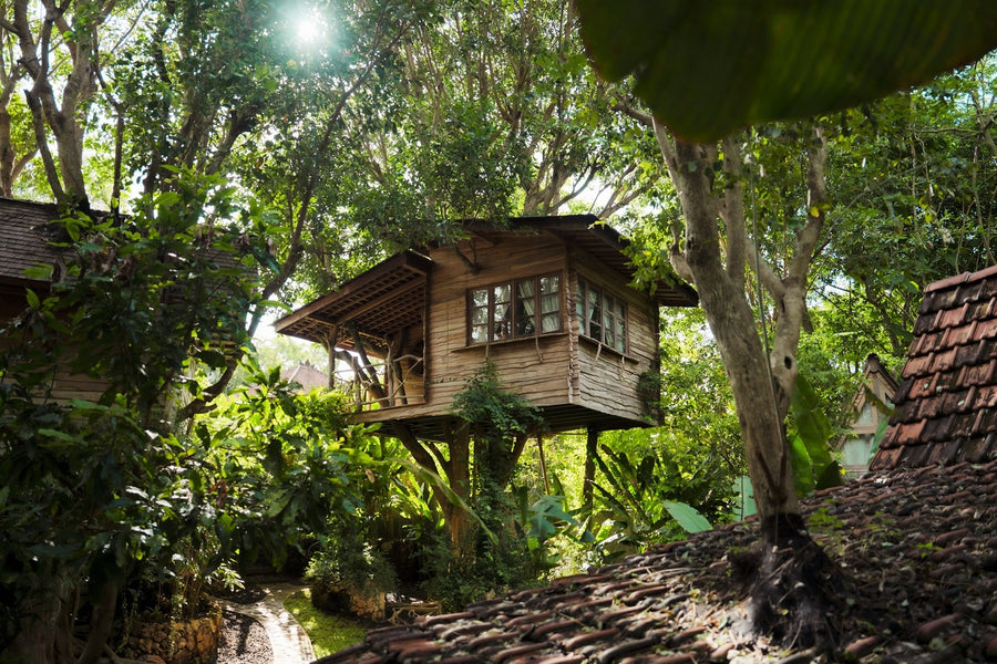 Roots Tree Hotel Stay