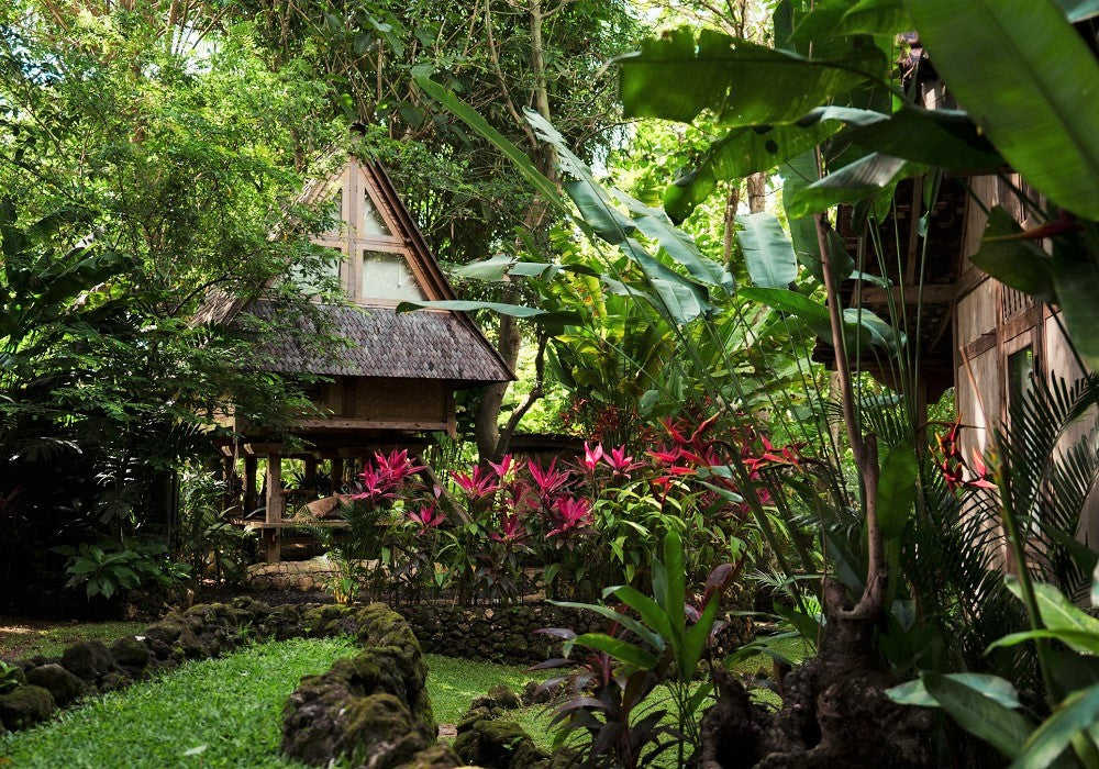 Roots Tree Hotel Stay